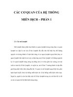 CÁC CƠ QUAN CỦA HỆ THỐNG MIỄN DỊCH – PHẦN 1 pptx