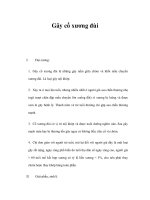 Gãy cổ xương đùi pdf