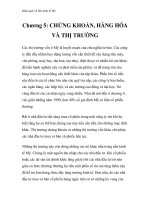 Khái quát về nền kinh tế Mỹ - Chương 5: CHỨNG KHOÁN, HÀNG HÓA VÀ THỊ TRƯỜNG doc