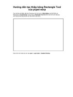 Hướng dẫn tạo thiệp bằng Rectangle Tool của pupet warp phần 1 ppt