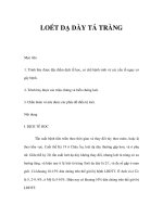 LOÉT DẠ DÀY TÁ TRÀNG pps