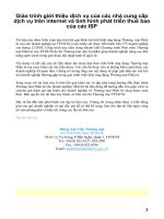 Giáo trình giới thiệu dịch vụ của các nhà cung cấp dịch vụ trên internet và tình hình phát triển thuê bao của các ISP p1 ppt