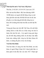 Thời đại Đá mới ở Việt Nam pot