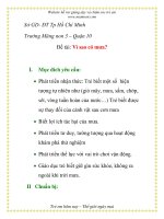 Giáo án mầm non chương trình đổi mới: Đề tài: Vì sao có mưa? pot