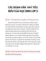 CÁC ĐOẠN VĂN HAY TIÊU BIỂU CỦA HỌC SINH LỚP 2_1 pptx