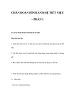 CHẨN ĐOÁN HÌNH ẢNH HỆ TIẾT NIỆU – PHẦN 1 pptx