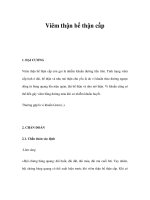 Viêm thận bể thận cấp doc