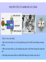 ĐẠI CƯƠNG VỀ SẮC KÝ LỎNG part 2 docx