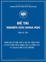 Mối quan hệ giữa quản trị vốn luân chuyển, hiệu quả công ty và hạn chế tài chính