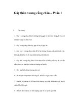 Gãy thân xương cẳng chân – Phần 1 pot