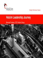holcim strength performance passion holcim leadership journey bernard fontana ceo holcim group