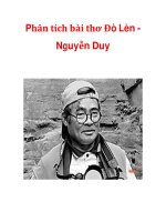 Phân tích bài thơ Đò Lèn Nguyễn Duy pptx