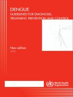 DENGUE GUIDELINES FOR DIAGNOSIS,  TREATMENT, PREVENTION AND CONTROL, 2009