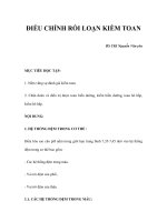 ĐIỀU CHỈNH RỐI LOẠN KIỀM TOAN potx