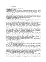 thực trạng thị trường bán lẻ việt nam sau 4 năm mở cửa theo cam kết gia nhập wto