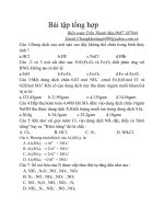 Bài tập hóa tổng hợp docx