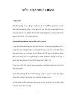 RỐI LOẠN NHỊP CHẬM ppsx