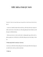 TIÊU HÓA Ở RUỘT NON ppt