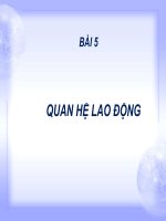 Bài 5: Quan hệ lao động pps