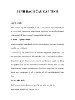 BỆNH BẠCH CẦU CẤP TÍNH ppsx