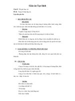 Giáo án mầm non chương trình đổi mới: Trang trí thiệp tặng mẹ Lớp mẫu giáo lớn potx