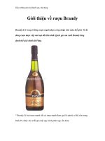 Giáo trình quản trị khách sạn, nhà hàng - Giới thiệu về rượu Brandy pptx