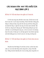 CÁC ĐOẠN VĂN HAY TIÊU BIỂU CỦA HỌC SINH LỚP 2_2 ppsx