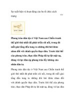 Sự xuất hiện và hoạt động của ba tổ chức cách mạng pot