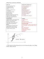 [Kinh Doanh] Chiến Lược - Chính Sách Phát Triển Phần 2 pptx