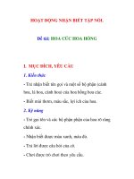 Giáo án mầm non chương trình đổi mới: HOA CÚC HOA HỒNG pdf