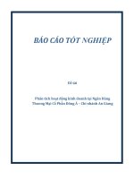 Phân tích hoạt động kinh doanh tại ngân hàng thương mại cổ phần Đông Á Chi nhánh An Giang