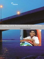 laying solid foundations for tomorrow holcim ltd annual report 2002