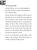 Sai sót trong so sánh ppt