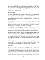 TỰ DO HÓA THỊ TRƯỜNG CHỨNG KHOÁN VIỆT NAM - CÁC VẤN ĐỀ CHỦ YẾU ĐỐI VỚI CƠ QUAN QUẢN LÝ NHÀ NƯỚC VỀ CHỨNG KHOÁN VÀ CÁC CÔNG TY CHỨNG KHOÁN TRONG NƯỚC - Phần 8 ppsx