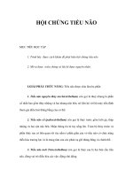 HỘI CHỨNG TIỂU NÃO doc