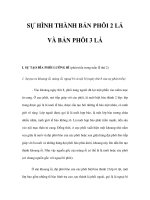 SỰ HÌNH THÀNH BẢN PHÔI 2 LÁ VÀ BẢN PHÔI 3 LÁ pps