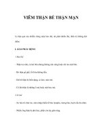 VIÊM THẬN BỂ THẬN MẠN pps