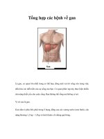 Tổng hợp các bệnh về gan pot