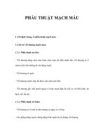 PHẪU THUẬT MẠCH MÁU ppt