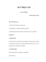 SUY THẬN CẤP(Acute renal failure) docx