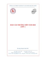 báo cáo thường niên năm 2010 công ty cổ phần xi măng và xây dựng quảng ninh