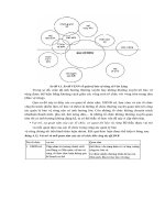 Giáo trình : PHƯƠNG PHÁP TIẾP CẬN CÓ SỰ THAM GIA TRONG PHÁT TRIỂN LÂM NGHIỆP XÃ HỘI part 8 potx