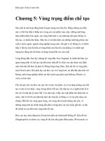 Khái quát về địa lý nước Mỹ - Chương 5: Vùng trọng điểm chế tạo pptx