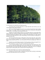 Giáo trình : KHAI THÁC VÀ VẬN CHUYỂN LÂM SẢN part 8 doc