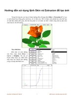 Hướng dẫn sử dụng lệnh Skin và Extrusion để tạo ảnh phần 1 docx