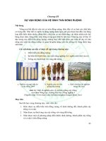 Giáo trình- Sinh thái học đồng ruộng -chương 3 pptx