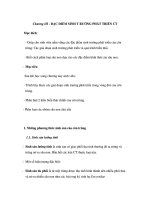 Côn trùng rừng - Chương 3 pot