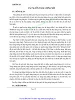 Giáo trình An toàn lao động và môi trường công nghiệp - Chương 15 docx