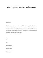 RỐI LOẠN CÂN BẰNG KIỀM TOAN pot