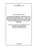 Xác định mầm bệnh ký sinh trùng gây bệnh cho người trong rau và thuỷ sản được nuôi trồng từ nguồn nước thải tại một số thành phố và nông thôn miền bắc